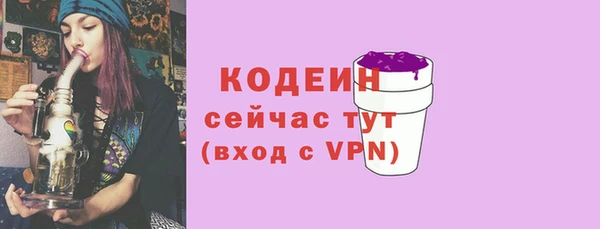 прущие грибы Михайловск
