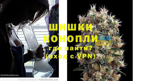 прущие грибы Михайловск