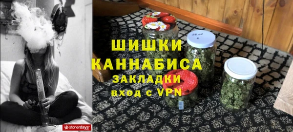 прущие грибы Михайловск