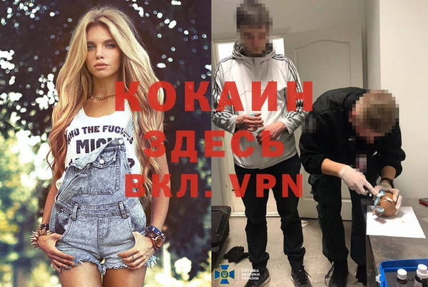 прущие грибы Михайловск