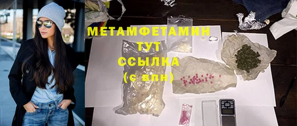 прущие грибы Михайловск