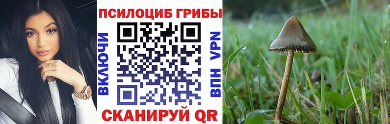 darknet официальный сайт  Княгинино  KRAKEN как зайти  Псилоцибиновые грибы мухоморы  где найти наркотики 